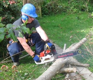 Image of person using the CS-5801 to tidy up after felling an unwanted tree