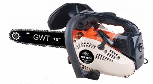 The GardenWiz CS-2500 is a wee marvel - Imagine using this lightweight mini chain saw for pruning and trimming tasks