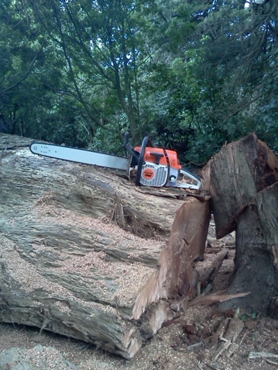 The mighty CS-7201 chainsaw from GardenWiz Tools makes big jobs seem easy!